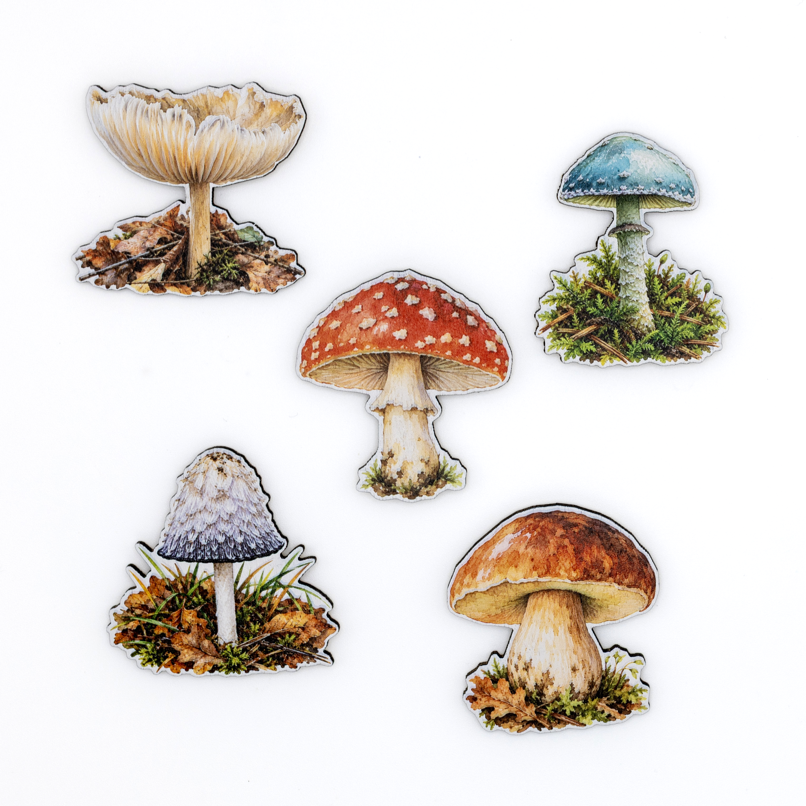 Mushrooms 2, image 2 of 2